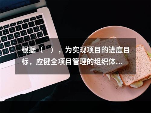 根据（　），为实现项目的进度目标，应健全项目管理的组织体系。