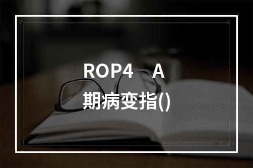 ROP4　A期病变指()