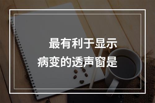 　最有利于显示病变的透声窗是