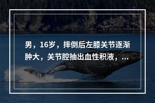 男，16岁，摔倒后左膝关节逐渐肿大，关节腔抽出血性积液，最重