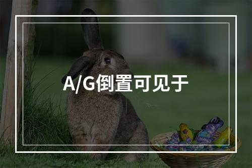 A/G倒置可见于