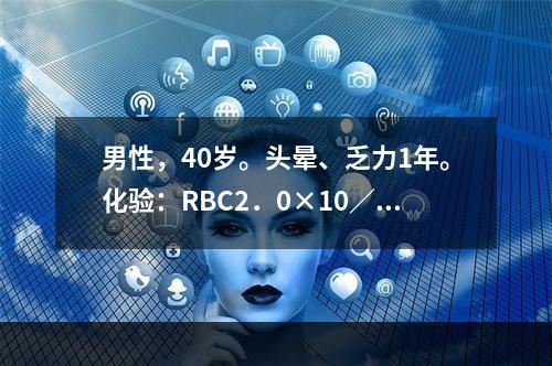 男性，40岁。头晕、乏力1年。化验：RBC2．0×10／L，