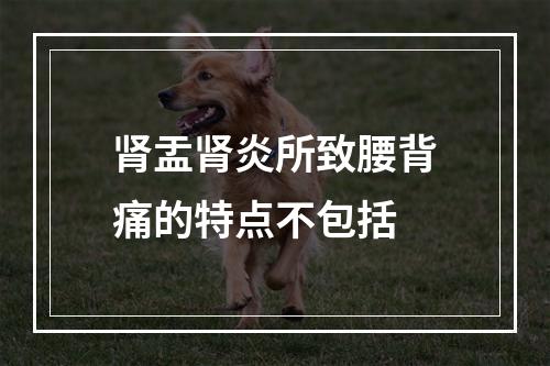 肾盂肾炎所致腰背痛的特点不包括