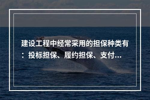 建设工程中经常采用的担保种类有：投标担保、履约担保、支付担保