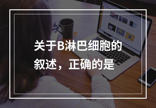 关于B淋巴细胞的叙述，正确的是