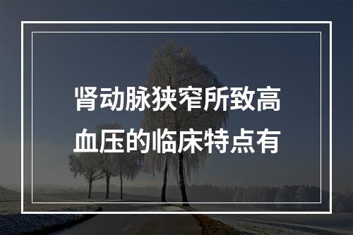 肾动脉狭窄所致高血压的临床特点有