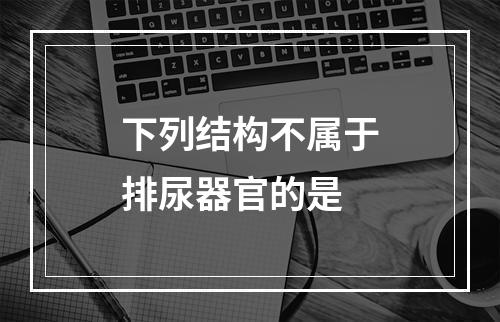 下列结构不属于排尿器官的是