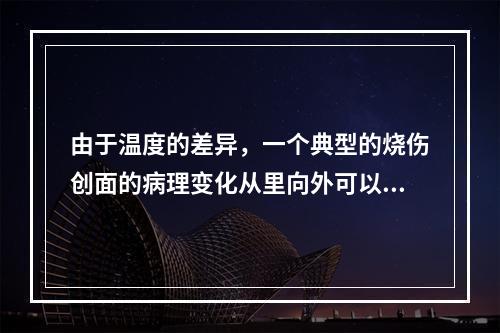 由于温度的差异，一个典型的烧伤创面的病理变化从里向外可以产生