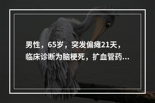 男性，65岁，突发偏瘫21天，临床诊断为脑梗死，扩血管药物治