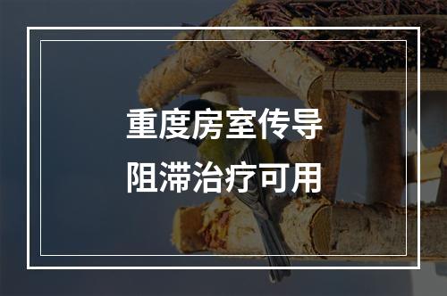 重度房室传导阻滞治疗可用