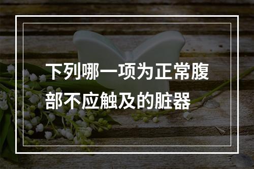 下列哪一项为正常腹部不应触及的脏器