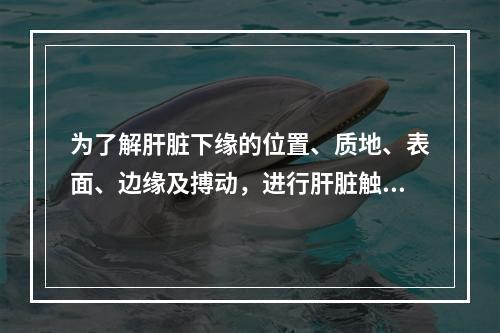 为了解肝脏下缘的位置、质地、表面、边缘及搏动，进行肝脏触诊时