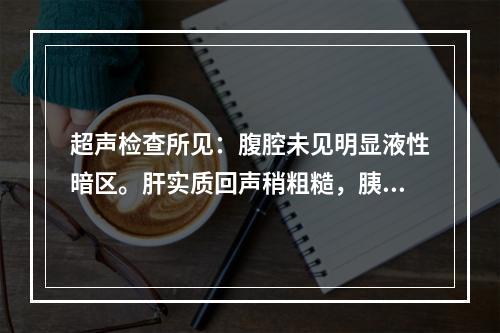 超声检查所见：腹腔未见明显液性暗区。肝实质回声稍粗糙，胰腺未