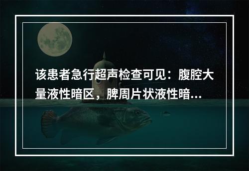 该患者急行超声检查可见：腹腔大量液性暗区，脾周片状液性暗区，