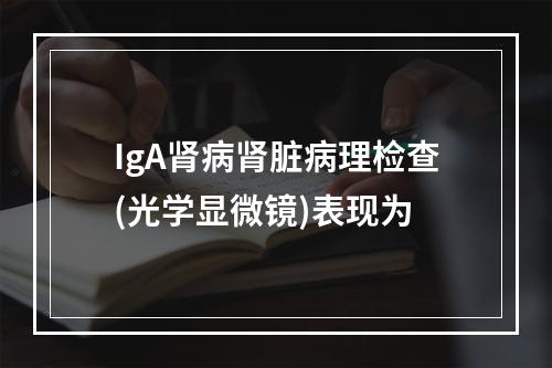 IgA肾病肾脏病理检查(光学显微镜)表现为