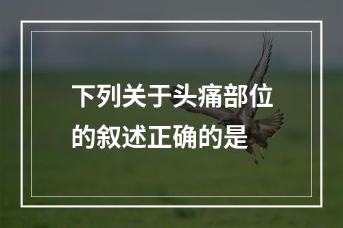 下列关于头痛部位的叙述正确的是