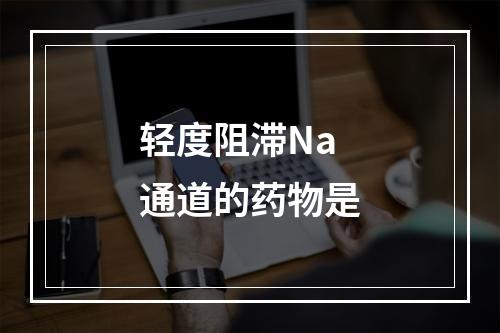 轻度阻滞Na通道的药物是