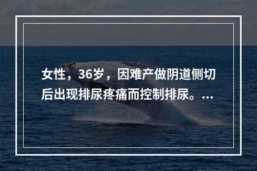 女性，36岁，因难产做阴道侧切后出现排尿疼痛而控制排尿。数小