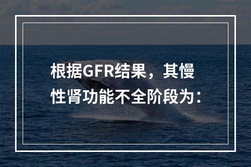 根据GFR结果，其慢性肾功能不全阶段为：