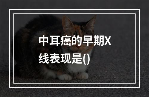 中耳癌的早期X线表现是()