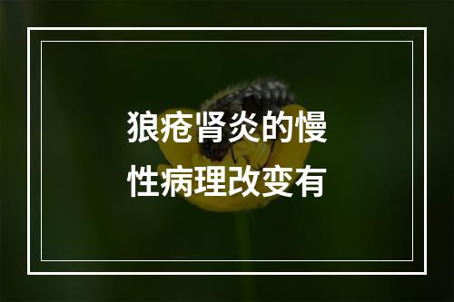 狼疮肾炎的慢性病理改变有