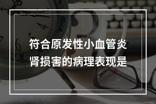 符合原发性小血管炎肾损害的病理表现是