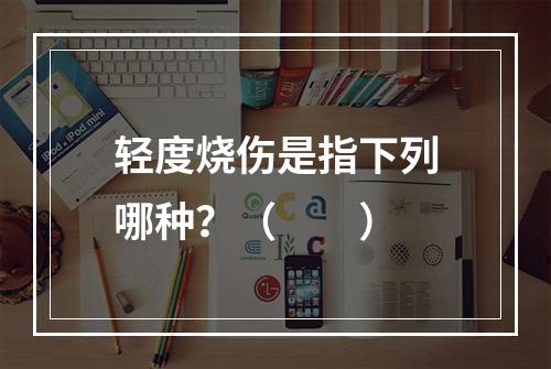 轻度烧伤是指下列哪种？（　　）