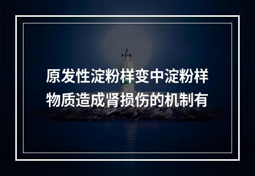 原发性淀粉样变中淀粉样物质造成肾损伤的机制有