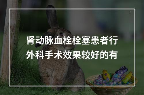 肾动脉血栓栓塞患者行外科手术效果较好的有