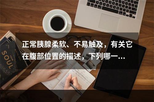 正常胰腺柔软、不易触及，有关它在腹部位置的描述，下列哪一项不