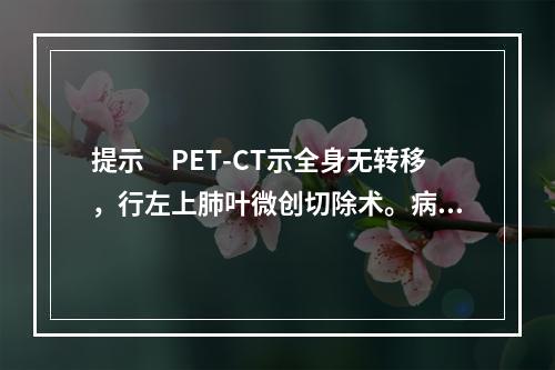 提示　PET-CT示全身无转移，行左上肺叶微创切除术。病理检