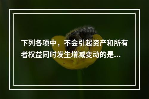 下列各项中，不会引起资产和所有者权益同时发生增减变动的是(　