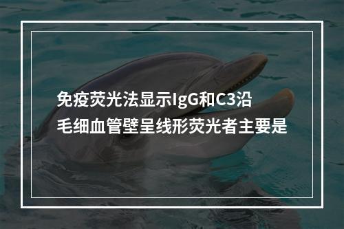 免疫荧光法显示IgG和C3沿毛细血管壁呈线形荧光者主要是