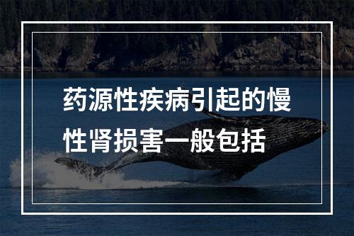 药源性疾病引起的慢性肾损害一般包括