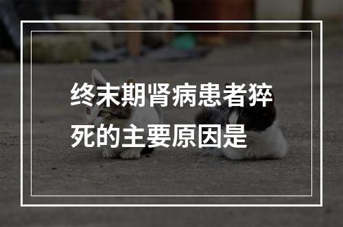 终末期肾病患者猝死的主要原因是