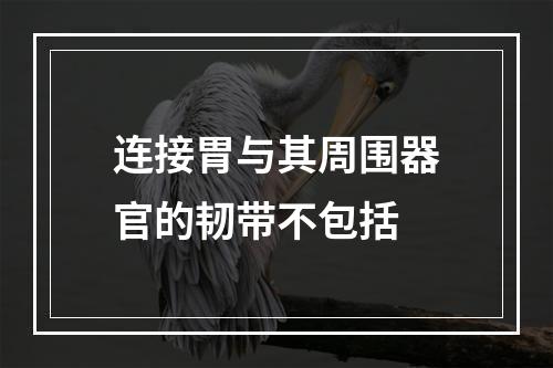 连接胃与其周围器官的韧带不包括