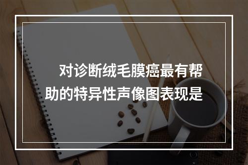 　对诊断绒毛膜癌最有帮助的特异性声像图表现是