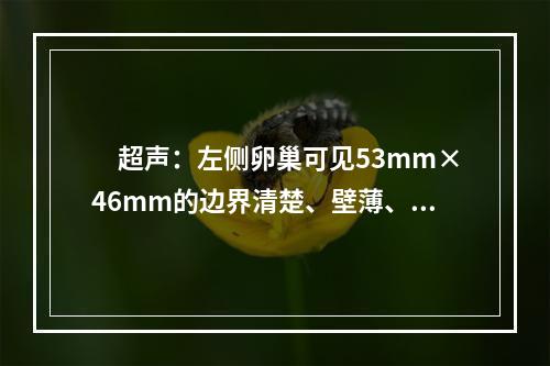 　超声：左侧卵巢可见53mm×46mm的边界清楚、壁薄、内见