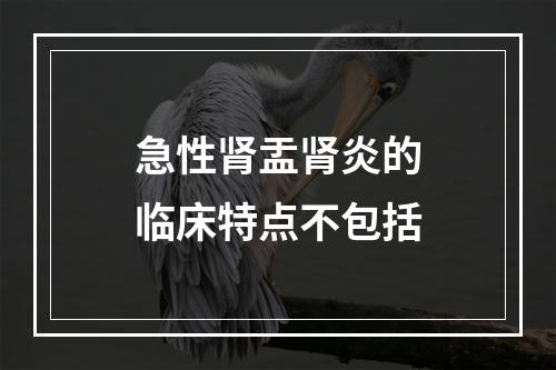 急性肾盂肾炎的临床特点不包括