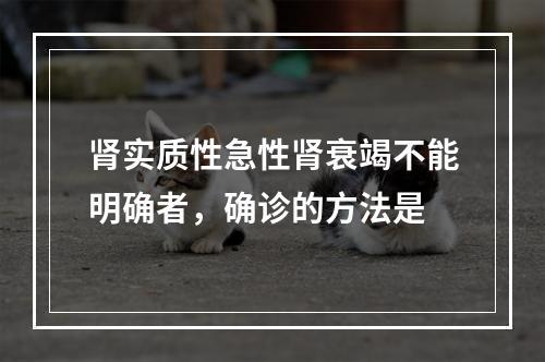 肾实质性急性肾衰竭不能明确者，确诊的方法是