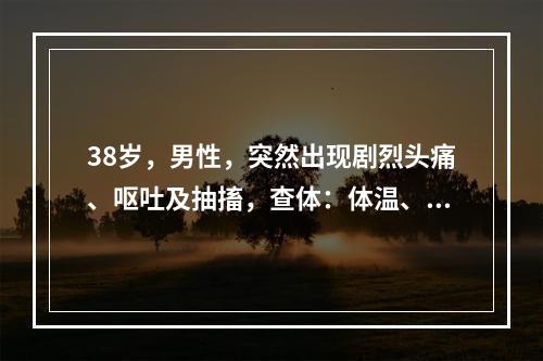 38岁，男性，突然出现剧烈头痛、呕吐及抽搐，查体：体温、血压