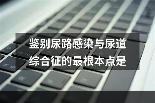 鉴别尿路感染与尿道综合征的最根本点是