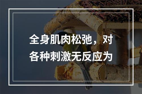 全身肌肉松弛，对各种刺激无反应为