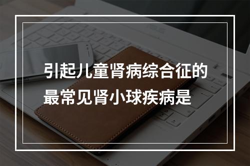 引起儿童肾病综合征的最常见肾小球疾病是