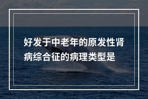 好发于中老年的原发性肾病综合征的病理类型是