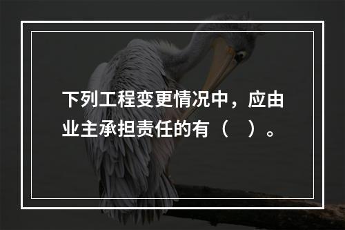 下列工程变更情况中，应由业主承担责任的有（　）。