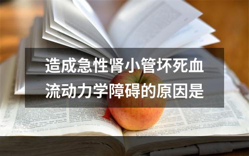 造成急性肾小管坏死血流动力学障碍的原因是