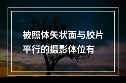 被照体矢状面与胶片平行的摄影体位有