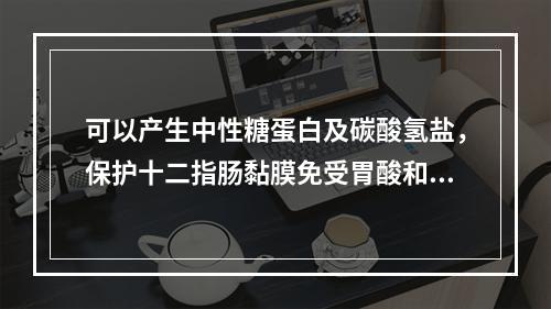 可以产生中性糖蛋白及碳酸氢盐，保护十二指肠黏膜免受胃酸和胰液