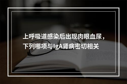 上呼吸道感染后出现肉眼血尿，下列哪项与IgA肾病密切相关